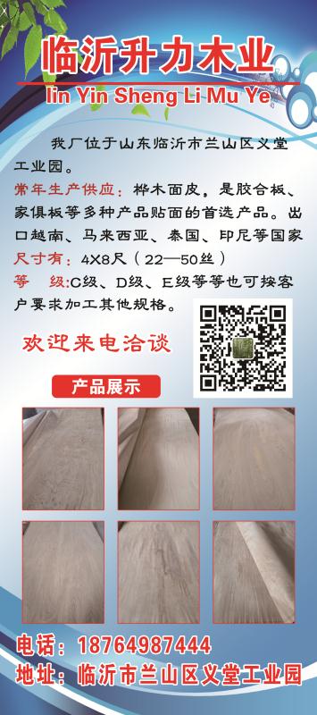 ��ľ��Ƥ��Ԕ����B