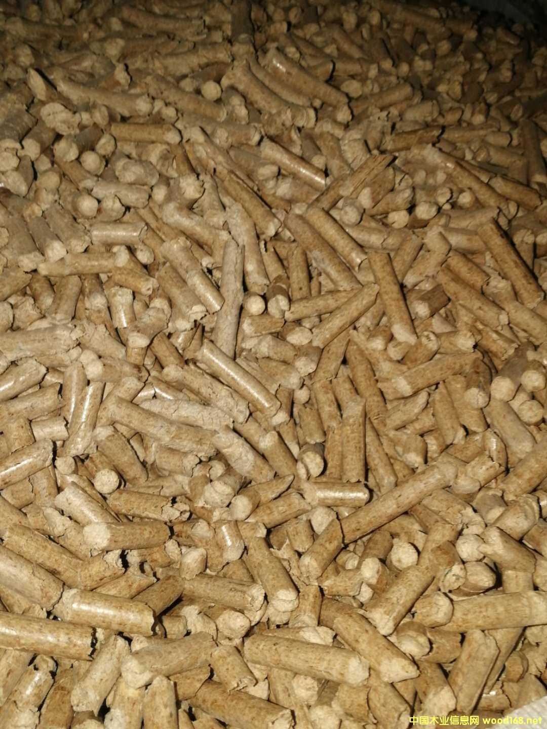 生物質(zhì)顆粒障子松顆粒 生物質(zhì)顆粒障子松顆粒