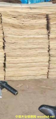 ��ľƤ�ӵ�Ԕ��(x��)��B