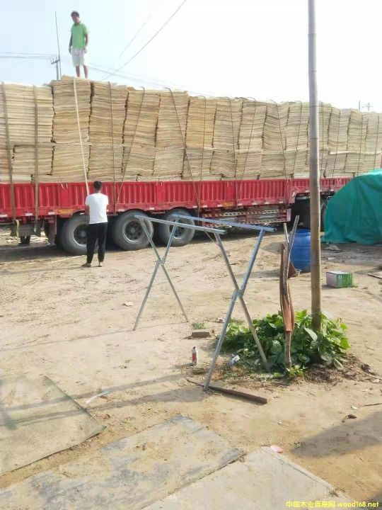 楊木皮子 楊木皮子