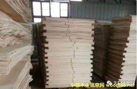 �S�h��ľ��ƴ��Ԕ����B