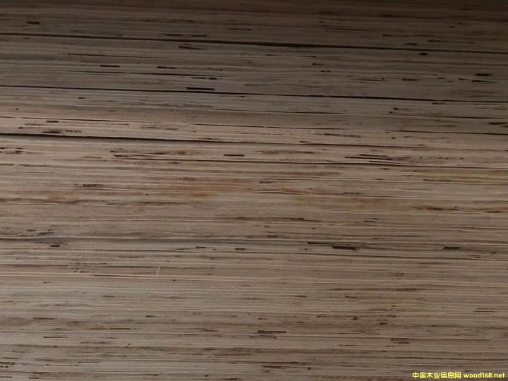 15���Ԕ��(x��)��B