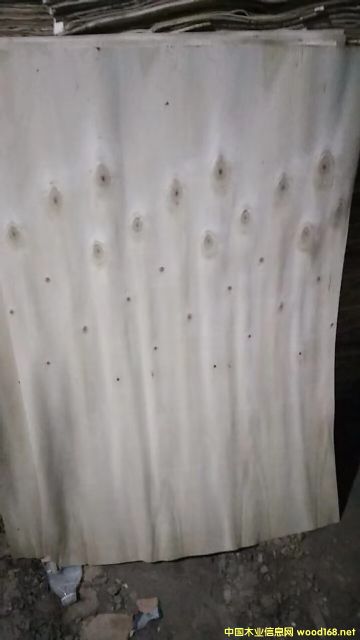  ��Ԕ��(x��)��B