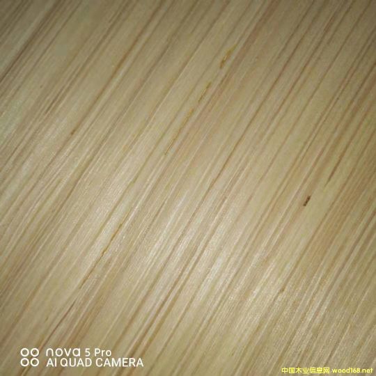 的詳細(xì)介紹