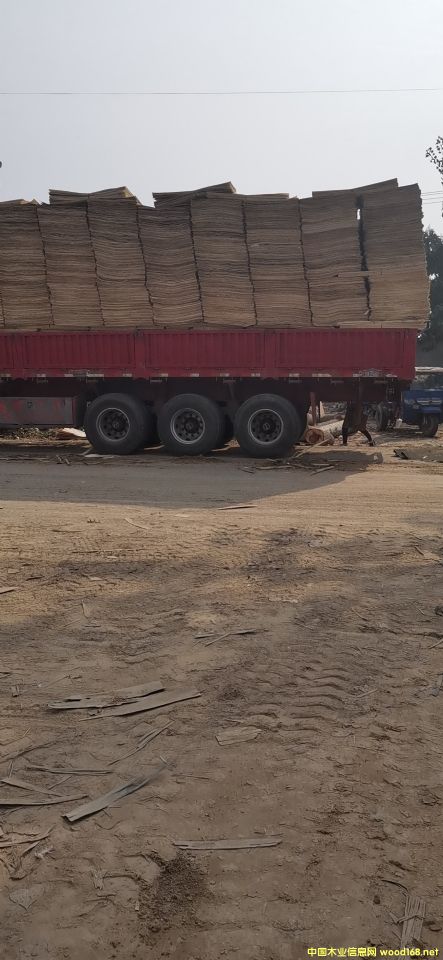 楊木單板 楊木單板