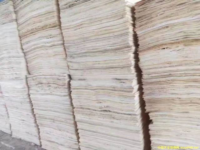 楊木單板 楊木單板