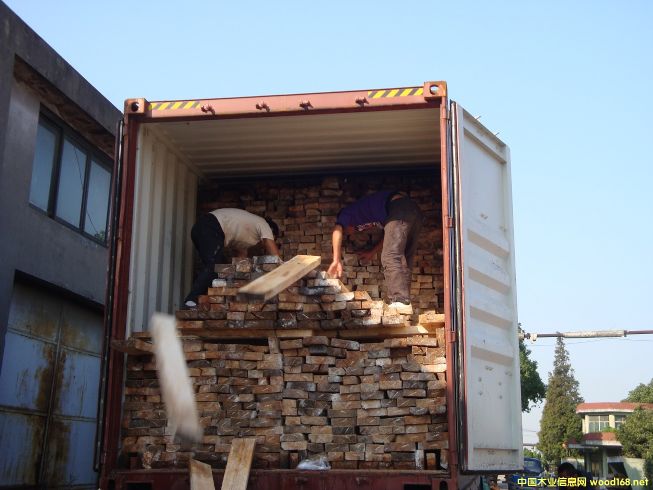 [��] ����(y��ng)�����ľ������R����ľ����albizia falcata