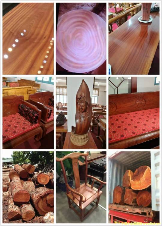 [��] ����(y��ng)�һ�оľ���һ��İ�ģ���mahogany,���~�һ����������һ���