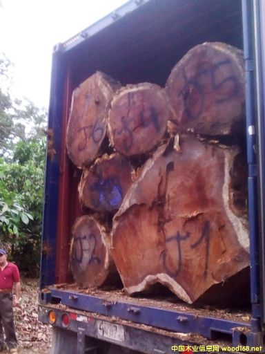 [��] ����(y��ng)�M(j��n)����˼ľACACIA����ľ����Ϛgľ������˼ľ