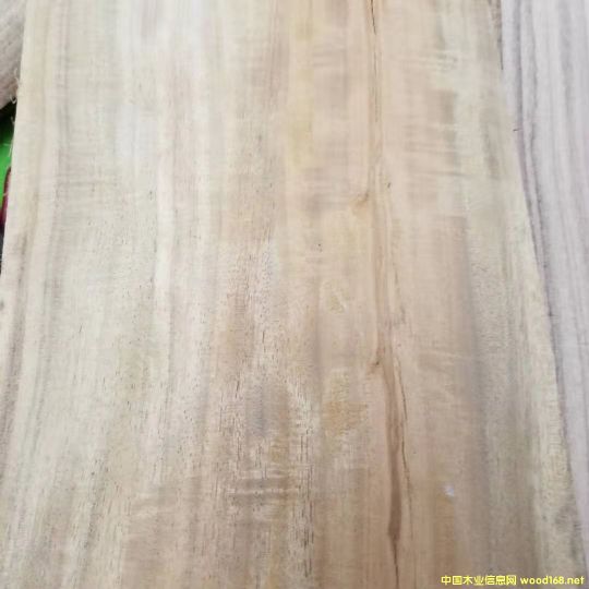 [��] �����M�ڴ��~��˼ľ��ACACIA����˼ľԭľ