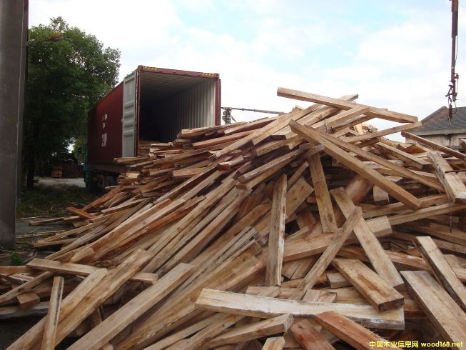 [��] ����(y��ng)�����ľ������R����ľ����albizia falcata