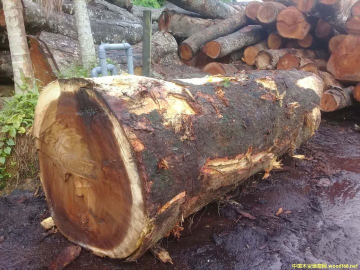 ����Ϛg�Aľ2