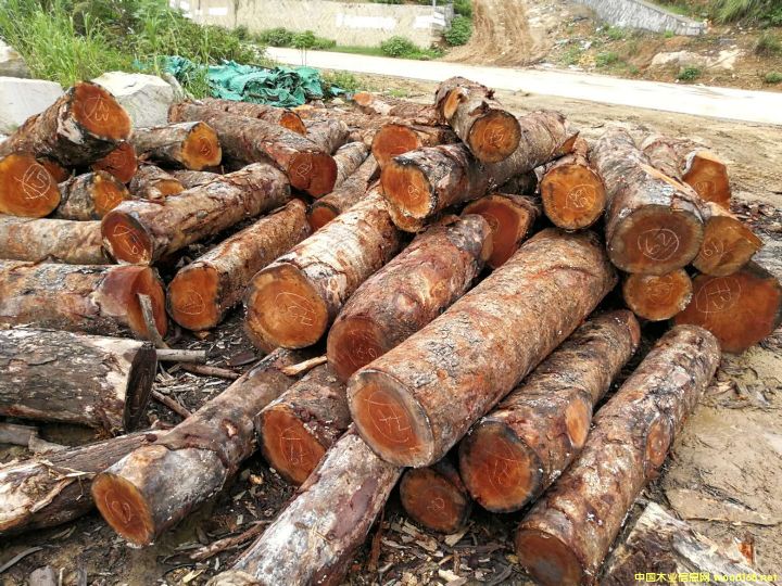 [��] ����(y��ng)�һ�оľ���һ��İ�ģ���mahogany,���~�һ��ģ������һ���