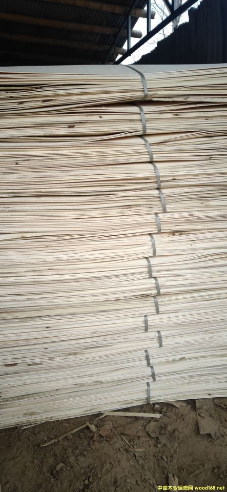  ��Ԕ��(x��)��B