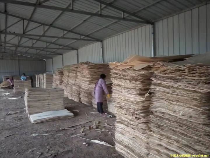  ��Ԕ��(x��)��B