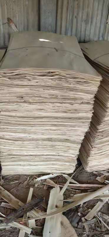 的詳細(xì)介紹