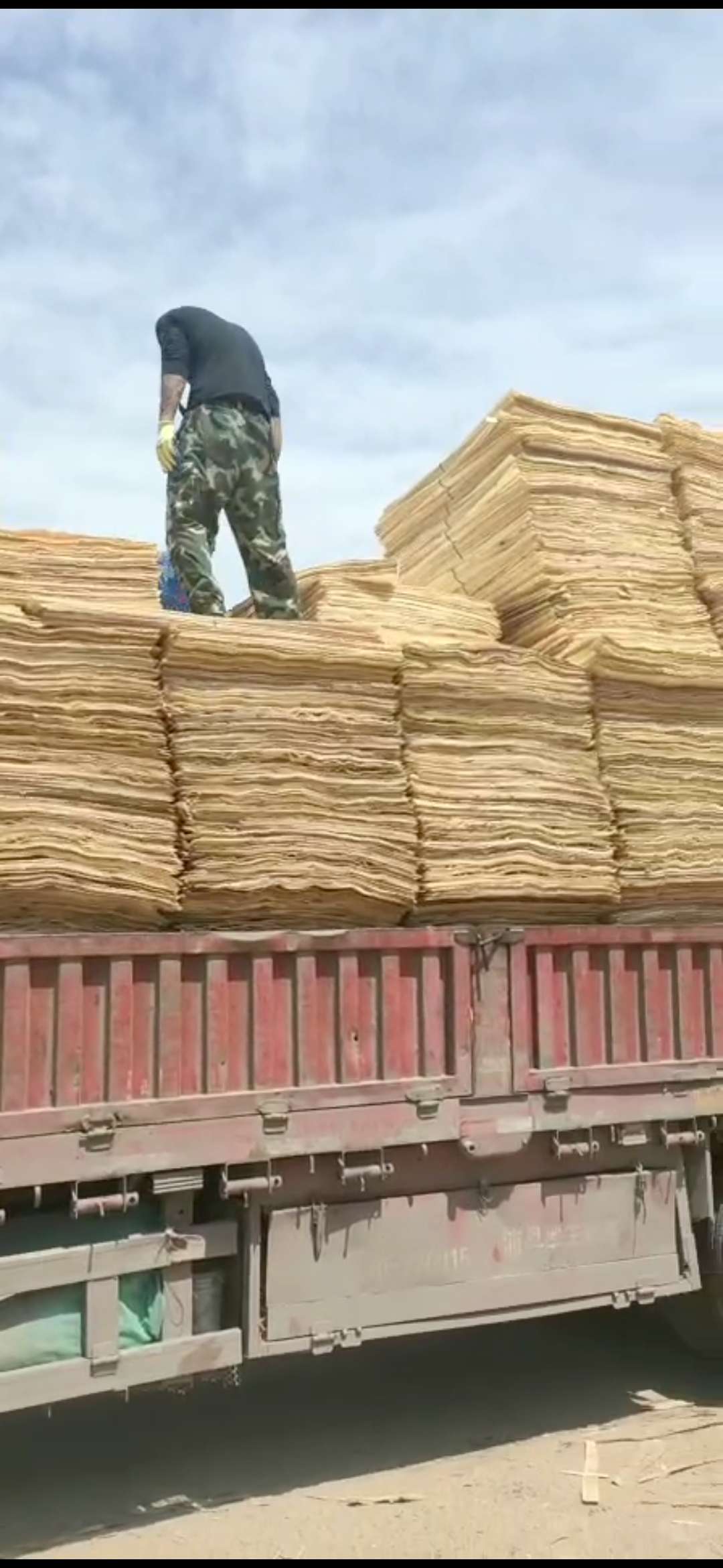  ��Ԕ����B