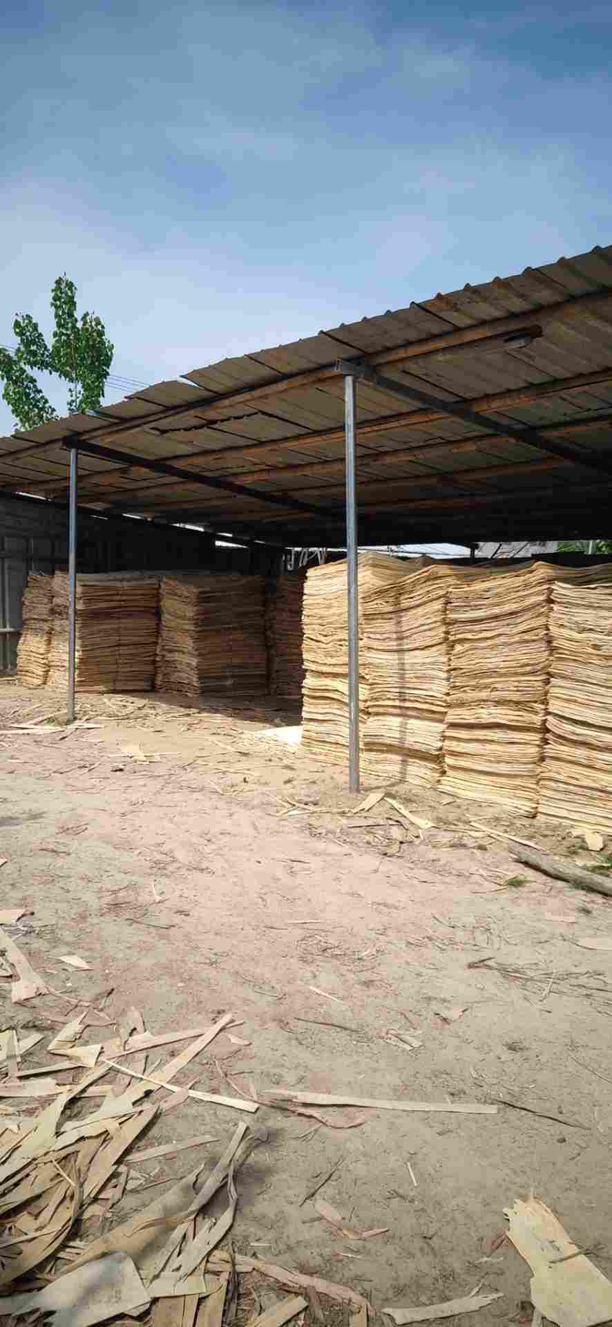  ��Ԕ����B