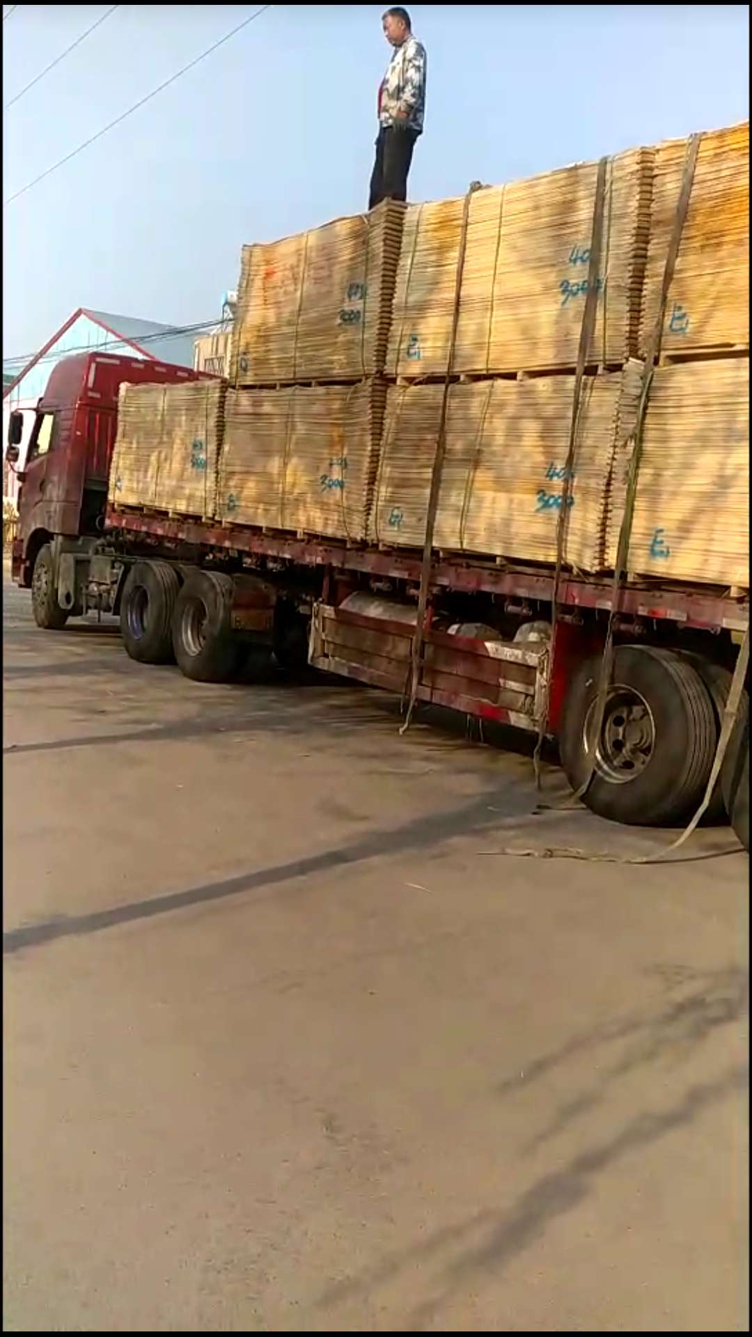  ��Ԕ��(x��)��B