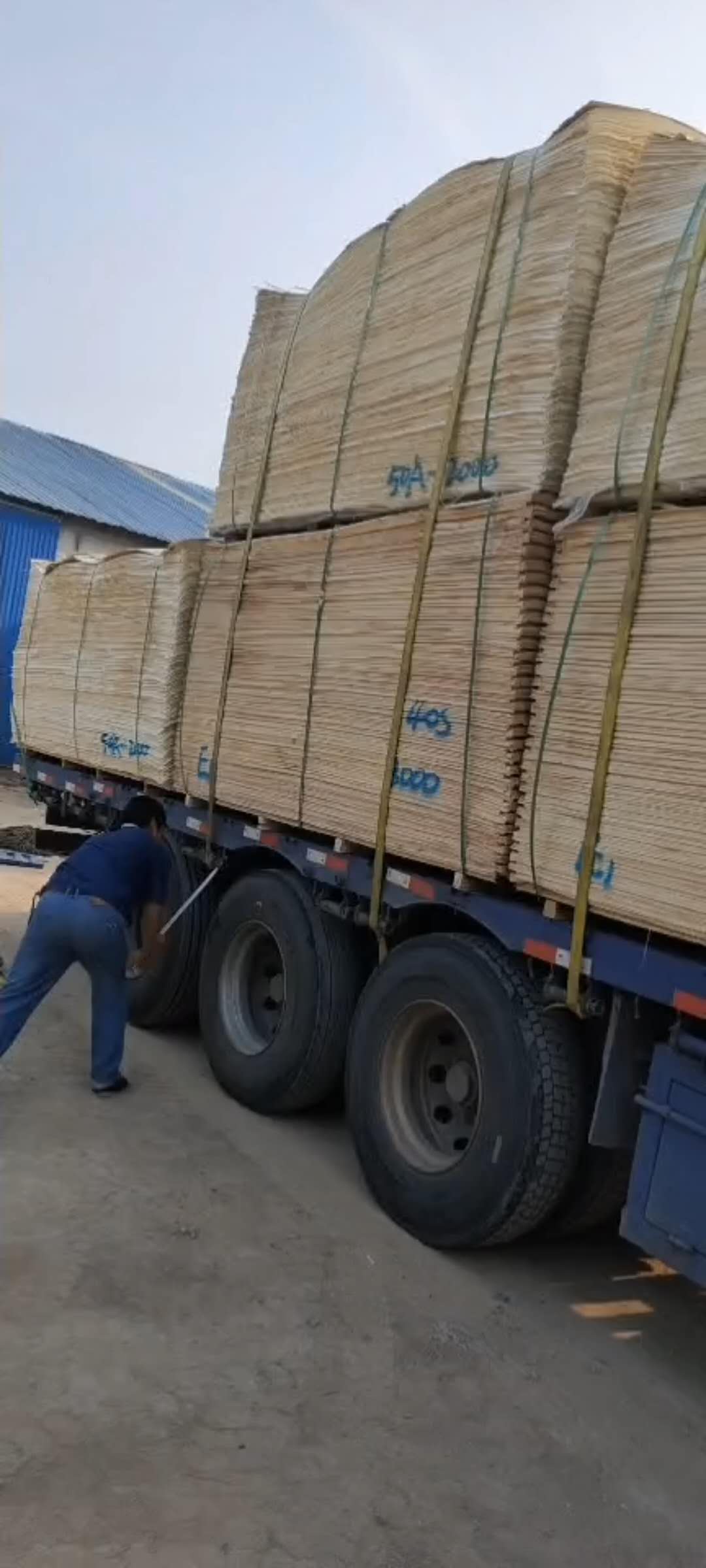  ��Ԕ��(x��)��B