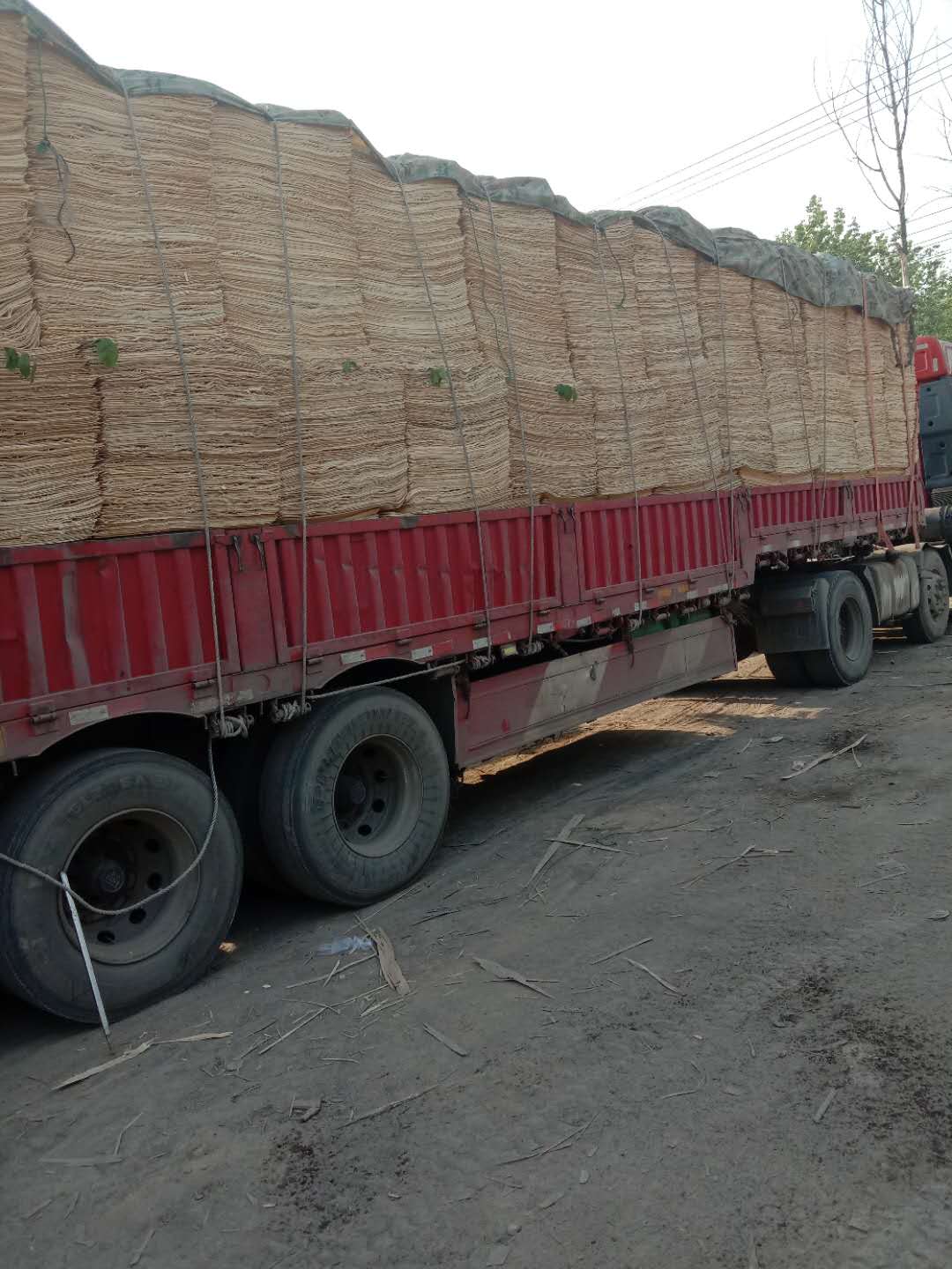  ��Ԕ��(x��)��B