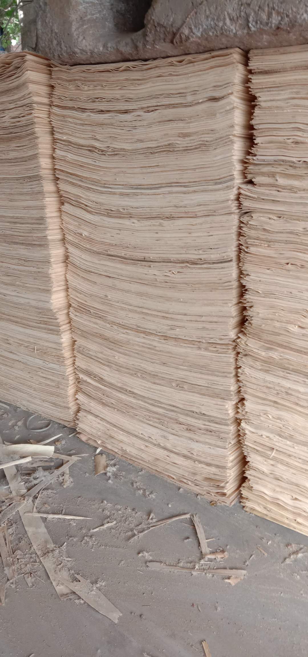  ��Ԕ��(x��)��B