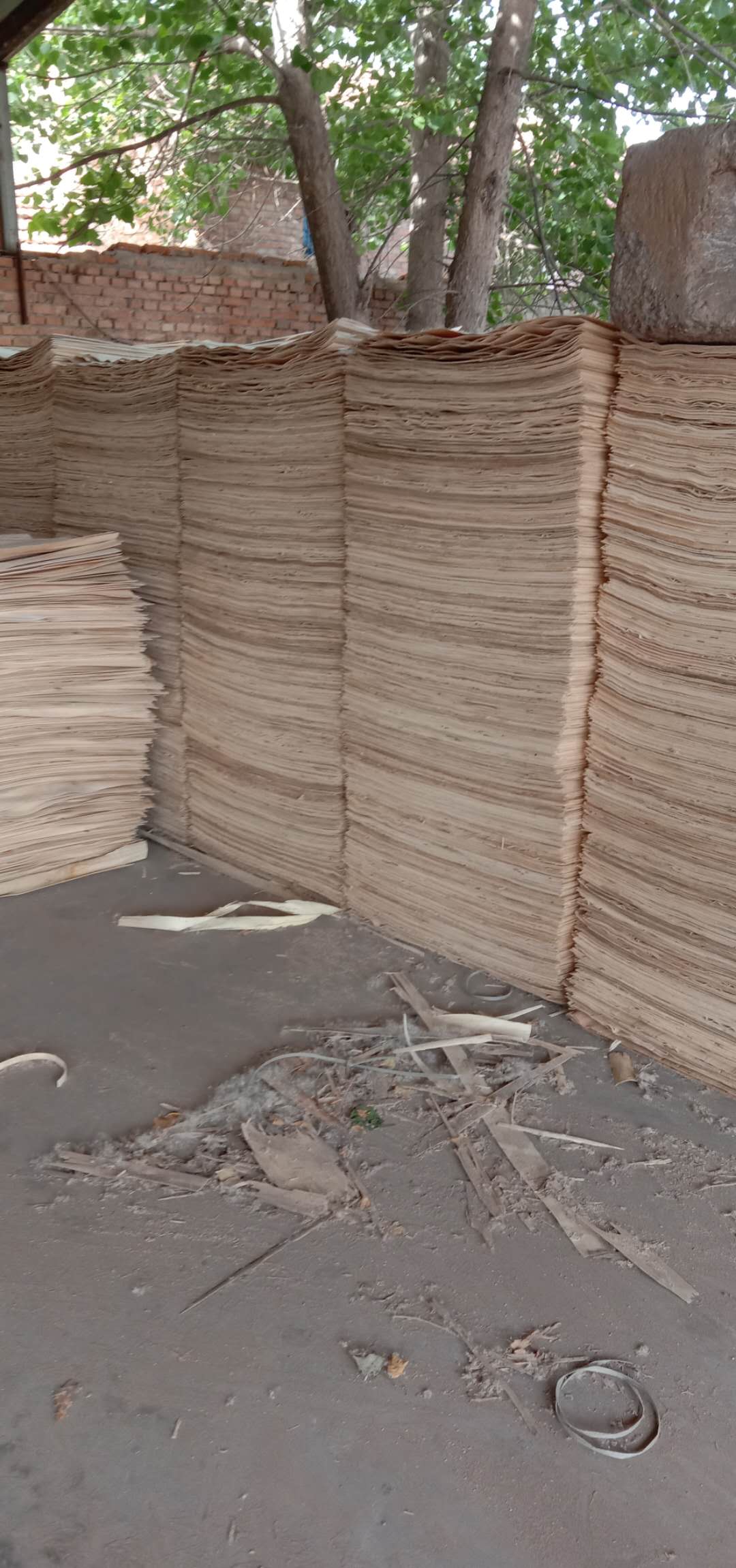  ��Ԕ��(x��)��B