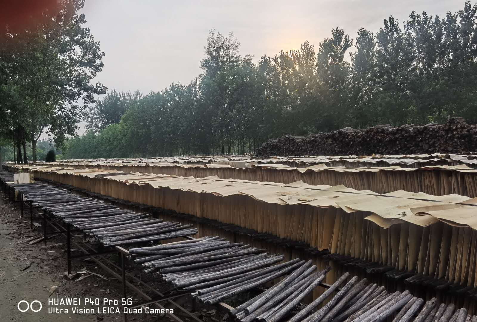  ��Ԕ����B