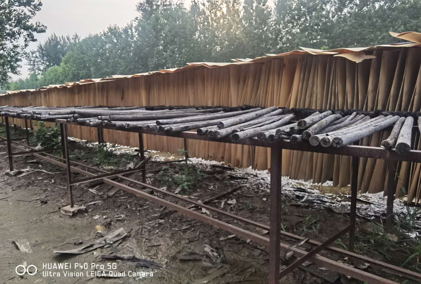  ��Ԕ����B