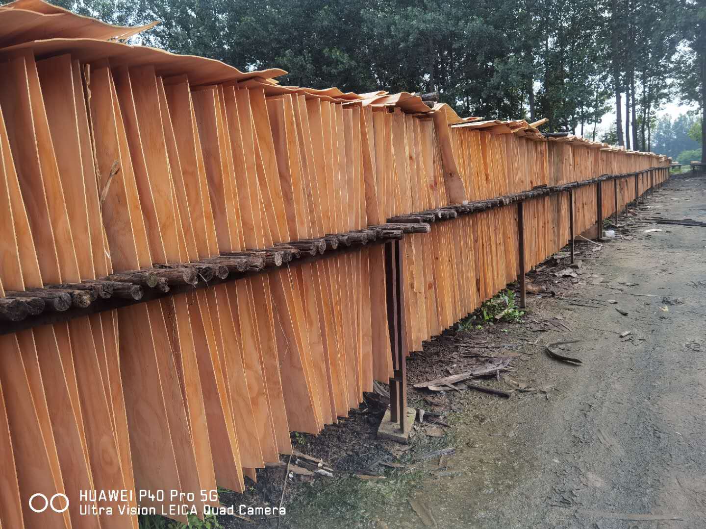  ��Ԕ����B