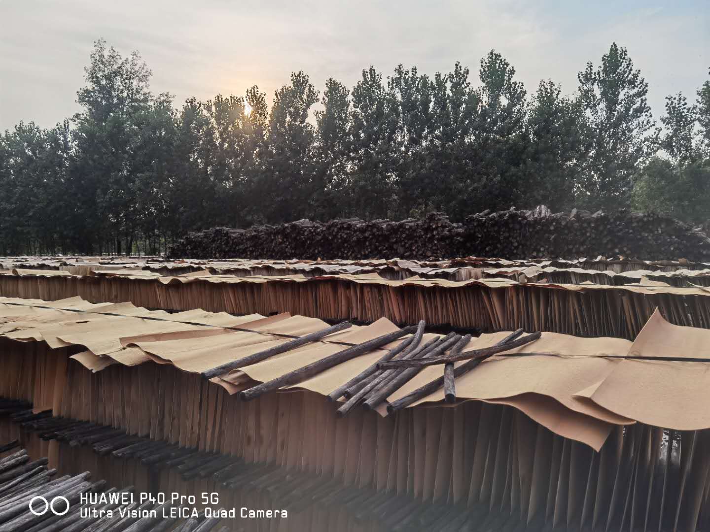  ��Ԕ����B