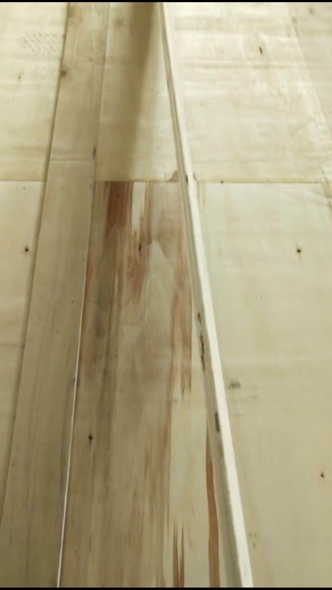 的詳細(xì)介紹