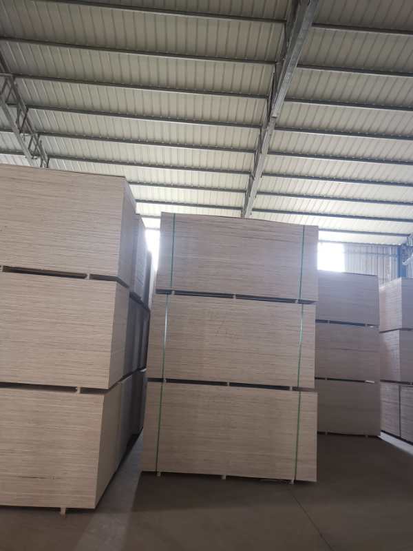 的詳細(xì)介紹