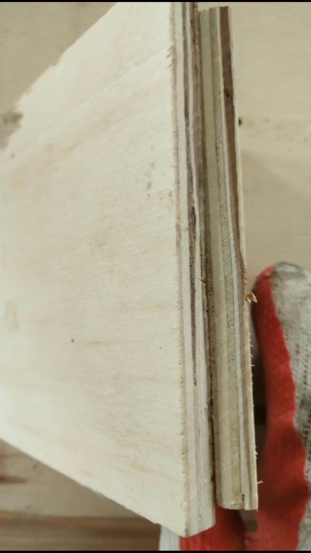 的詳細(xì)介紹