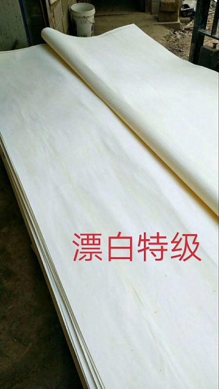  ��Ԕ��(x��)��B