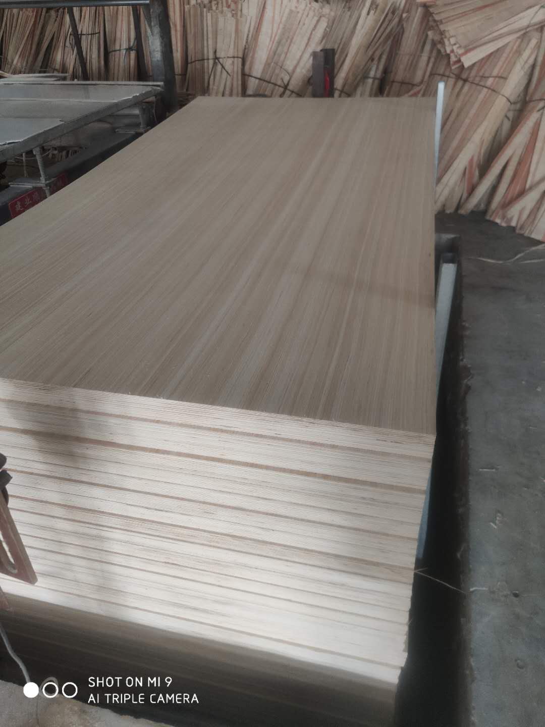  ��Ԕ����B