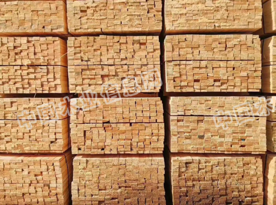 的詳細(xì)介紹