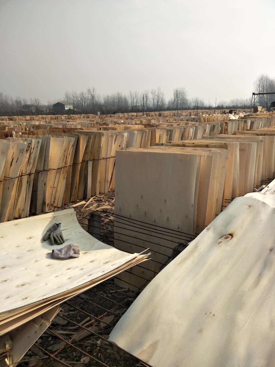  ��Ԕ��(x��)��B