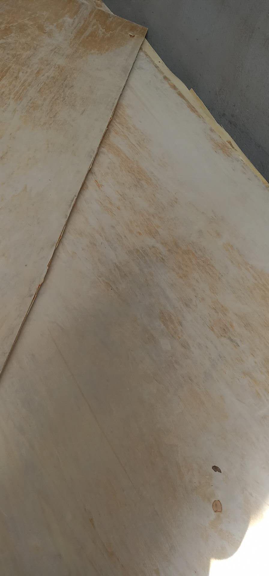 的詳細(xì)介紹