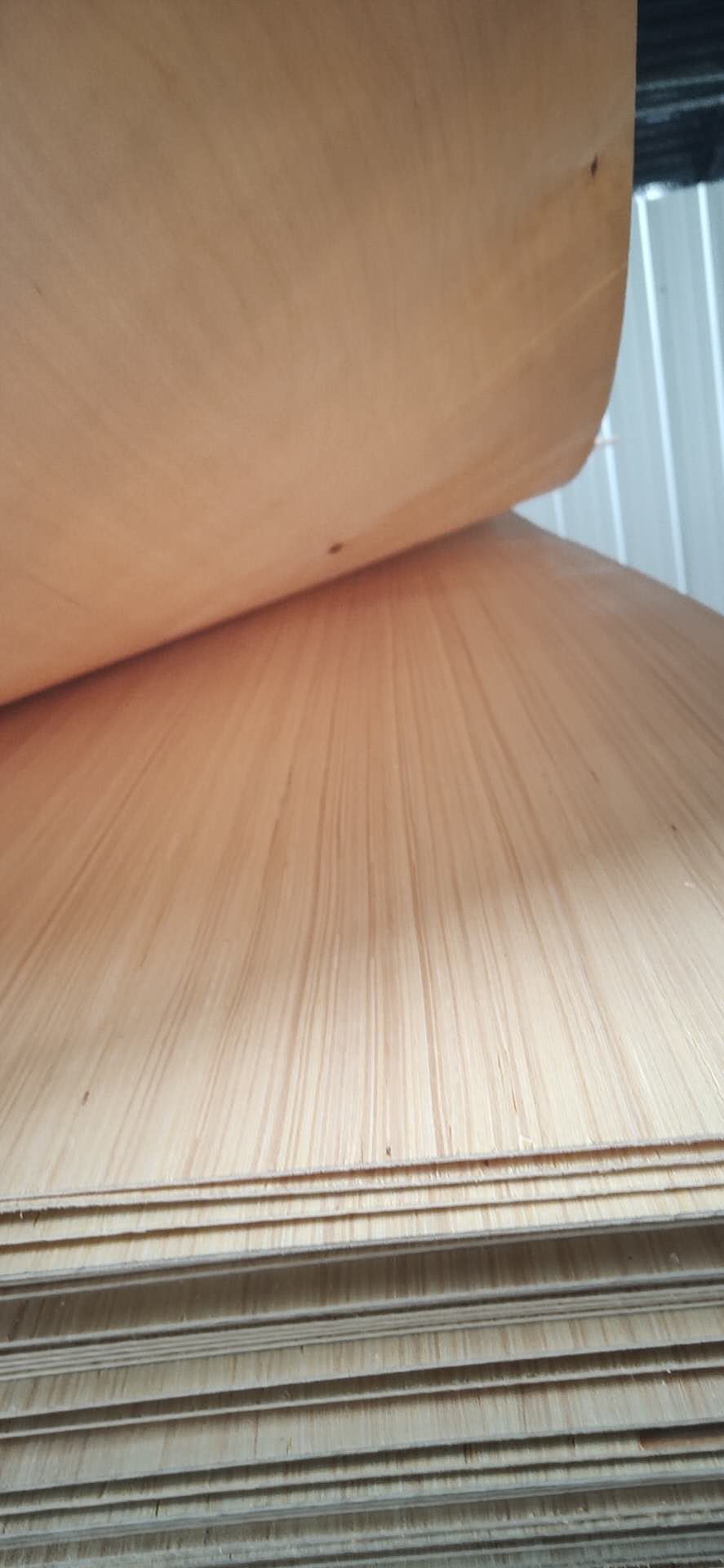  ��Ԕ����B