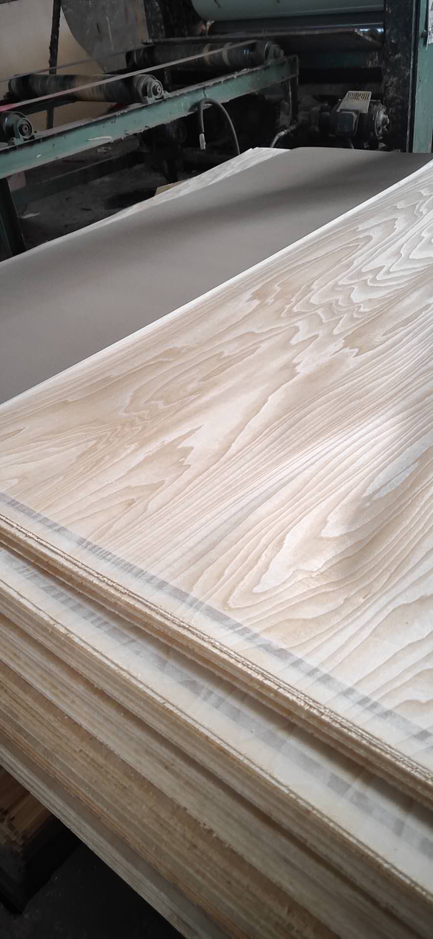  ��Ԕ����B