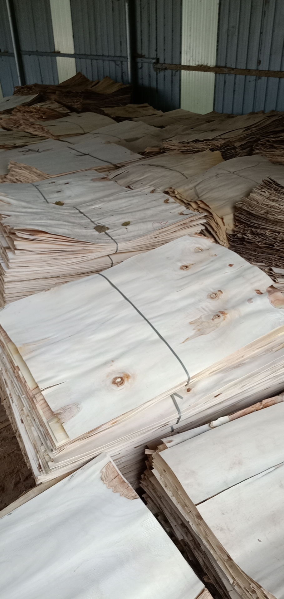  ��Ԕ��(x��)��B