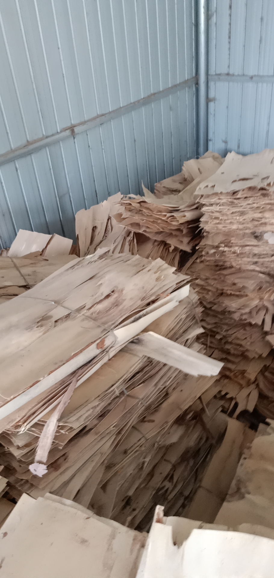  ��Ԕ��(x��)��B