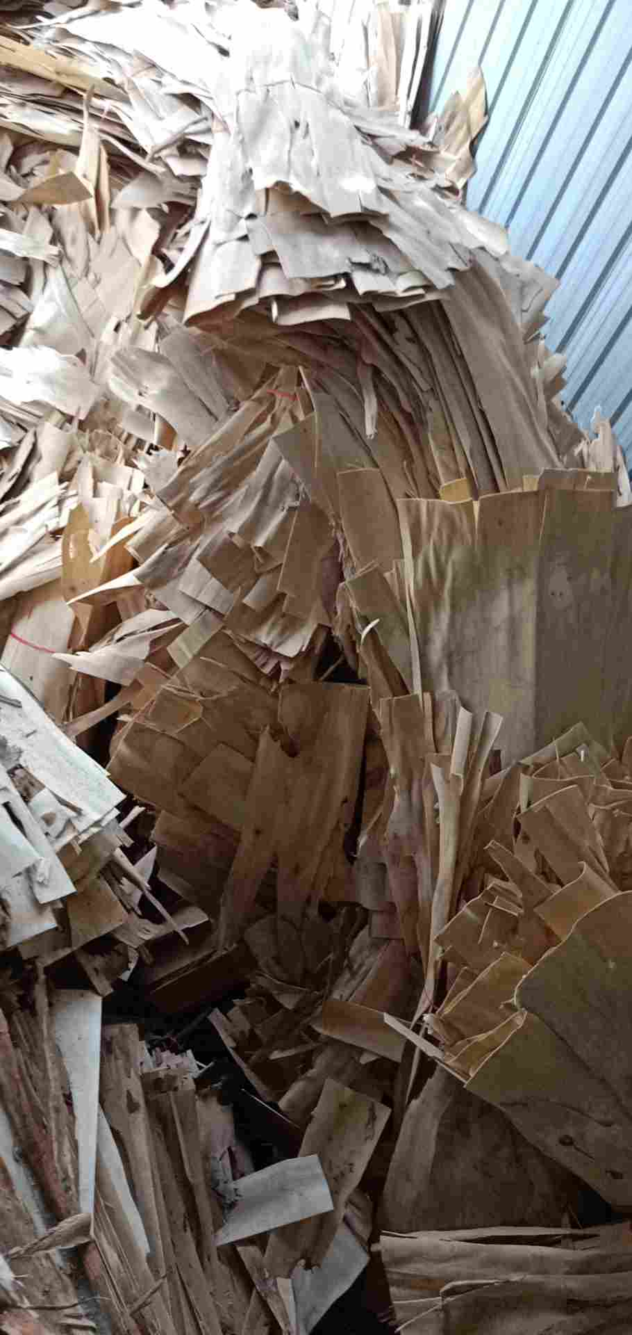  ��Ԕ��(x��)��B