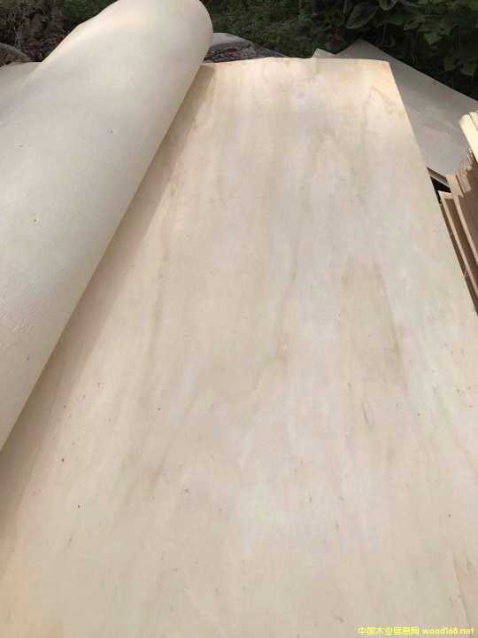 的詳細(xì)介紹