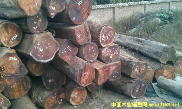 ���飬�ϓ�������կ��Խ���^�m(x��)���P(gu��n)����t��֦ԭ�����Ĵ��M