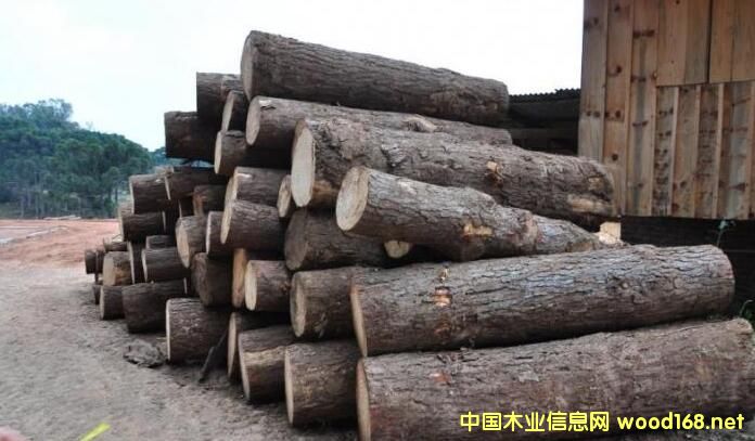 ����������ԭľ