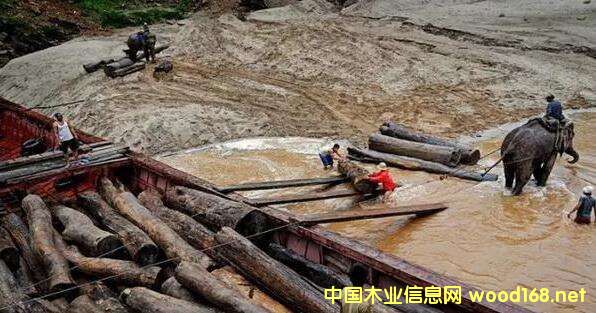 ľ�ĳ��ڇ��صĮ��£��ϓ���Ƿ���ɞ����������