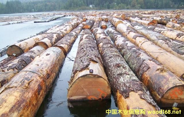 �����Fɼ�ͻ�����ԭľ�r(ji��)�����m(x��)��λ�\(y��n)��