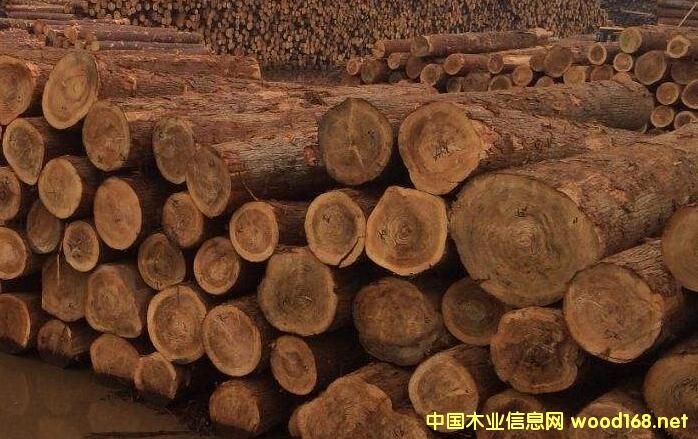 �(zh��n)�������޸��״��M���ձ���ɼԭľ